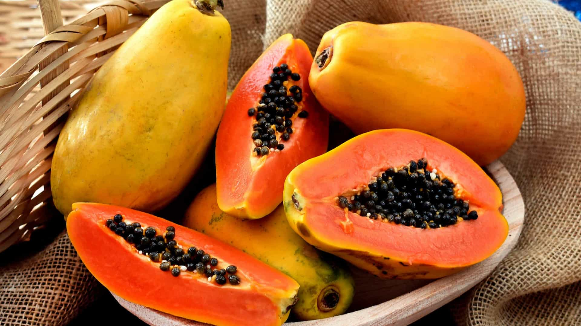 Papaya Fidanı,Papaya Fidanında Dev Kampanya,En Ucuz Papaya Fidanı,Antalya Papaya Fidanı,Manavgat Papaya Fidanı,Papaya Faydaları,Papaya Besin Değerleri