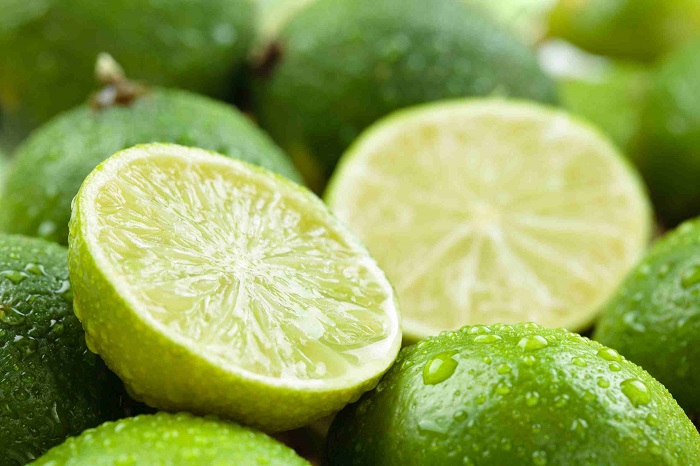 tahiti lime,tahiti lime fidanı,en ucuz tahiti lime,tahiti lime Antalya,tahiti lime antalya,